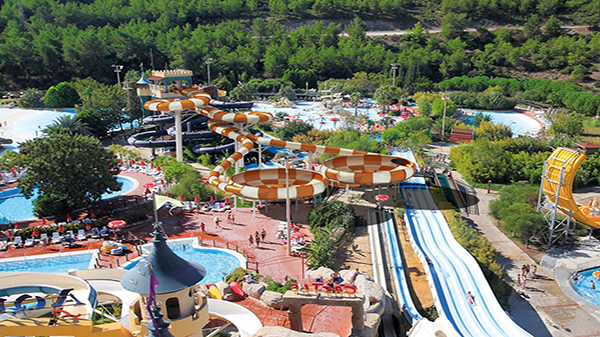 太空盆.jpg 太空盆.jpg